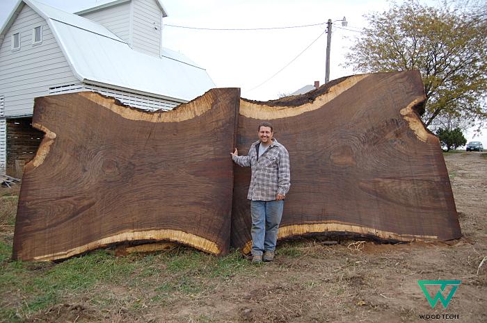 Gỗ óc chó là gì